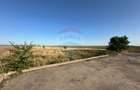 Teren extravilan de vânzare – 19.963 mp, E68 Mândruloc–Vladimirescu - 6
