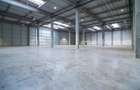 Hală nouă clasa A în parc industrial Arad - 5