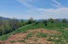 Teren Campina varful Muscel - 10