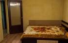 Oferta- Apartament 3 camere Ozana, parter, mobilat, pret excelent - 3