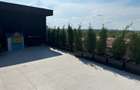 Penthouse 3 camere Baneasa - 15