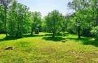 Teren intravilan Talea situat in mijlocul naturii ! - 1