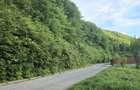 Teren intravilan intre case în Bunloc, lângă pădure – 604 mp - 5