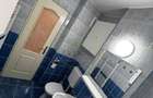 Apartament Spatios 3 Camere Vasile Aaron - 16