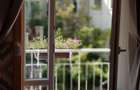Apartament superb de închiriat – Strada Lăpușneanu - 4