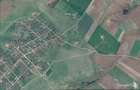Timisoara Ortisoara-tere agricol  4 hectare comasat - 4