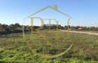 Vand teren intravilan Zona Fraidorf,comison ,,0'' - 7
