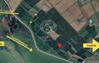 Teren intravilan, Cornetu, Ilfov – 5.590 mp - 4
