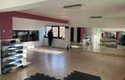 Spatiu comercial de inchiriat - 4