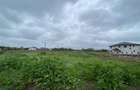 Teren intravilan | 3993 mp | Ciorogarla, Ilfov | Utilitati - 6