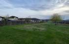 Teren intravilan S= 1499 mp, Labusesti, Bascov - idealimob.ro - 1