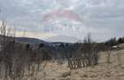 Teren intravilan 2307 mp în Salicea, zona premium, aproape de Cluj - 17