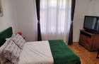 Mall Vitan -apartament in vila - 13