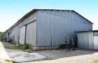 Hală industrială cu teren și utilitati-Oportunitate investItionala - 8