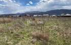 Teren de vanzare Dumbrava Rosie 20.000 Euro 900mp - 13