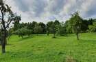Teren intravilan 1.000 mp | Deschidere 27 m | Poienărei – Corbi, Arges - 4