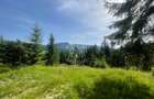 Teren intravilan 1074 mp cu utilitati-ideal pensiune, cabane-Colibita - 2