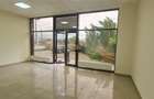 Spatiu comercial - 133mp - Turnisor - 13