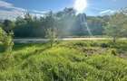Teren 1000-2000mp intravilan in Gradina Botanica Iasi, 200€/mp, utilitati - 7