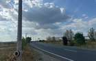 (308) Teren in zona industriala Albota, langa Pitesti / Direct proprietar - 2
