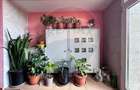 Apartament 3 camere in Vila, Curte, Mobilat si Utilat, Metrou Pacii - 20