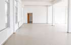 S.A.D – zona Mehala | 663 mp utili | 1464 mp teren inchiriat - 4