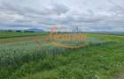 Teren Stupini Calea Feldioarei 11800 mp,25 euro/mp, front asfalt-DN13 - 5
