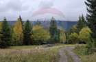 Vânzare teren extravilan, 4 ha pădure, zona turistică Liban, Harghita - 6