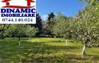 Casă, zona Dedeman, 3.433 mp teren. Preț 275.000 Eur - 18