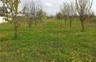 Teren parcelabil, intravilan, 6400mp cu casa renovata - ideal investitor  - 15