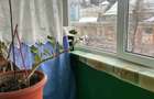 Inchiriere apartament 2 camere - Zona Centrala, Vis-a-vis de Palatul Culturii - 9