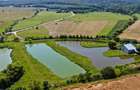 Proprietate spectaculoasă de 31.500 mp, cu iazuri și case locuibile - 9