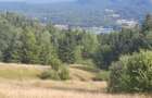 teren Colibita - 2 hectare - acces direct din drumul 173 D - 2