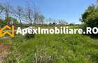 Teren intravilan de vanzare  Cornetu IF | ApexImobiliare.ro - 7