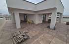 Penthouse duplex 197 mp Metrou Berceni - 11