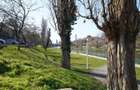 Apartament ultracentral | Renovat - 11