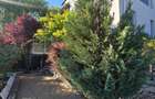 Vilă Individuală 5 Camere, Bulevardul Victor Dumitrescu - 45