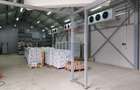 Depozit refrigerare de 292mp Dumbrăveni, Suceava - 8