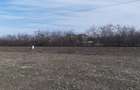 Vand Teren 25m Deschidere Directa la Lac, Intravilan-Construibil, 700mp(25x28m) - 8