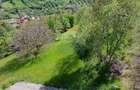 Teren intravilan |Moieciu de Jos| str. Principala| - 6