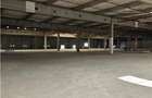 Spatiu Industrial - 9500 mp - Logistica - Productie - Depozitare - Distributie - 2