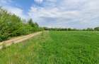 De vanzare teren intravilan, 60 ari, Bușag, Tăuții Măgherăuș - 3