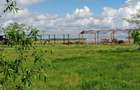 Lac de agrement pentru pescuit – Proprietate completă, 8,1 ha | De vânzare - 9