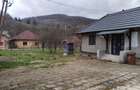 CASĂ DE VÂNZARE ÎN RUSCA MONTANĂ\JUD. CS - 3