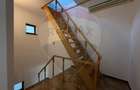 Casa cu teren de inchiriat in Palazu Mare - 17