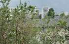 2 cam, Basarabiei - Diham - 7