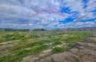 Teren intravilan 36.812 mp | Aiud, str. Izvorului | Alba - 6