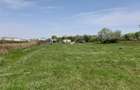Vand Teren 25m Deschidere Directa la Lac, Intravilan-Construibil, 700mp(25x28m) - 5