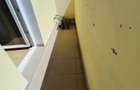 Apartament cu 3 camere, 67 mp, balcon, zona Terra - 5