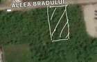 📍 Teren intravilan Premium – 538 mp | Aleea Bradului 59, Smeura – Moșoaia - 5